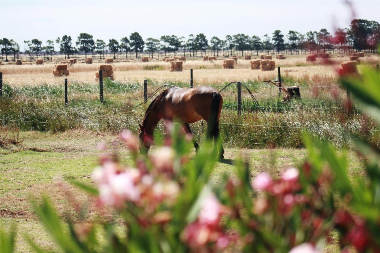Herdade Dos Salgados Do Fialho Faro Luaran gambar