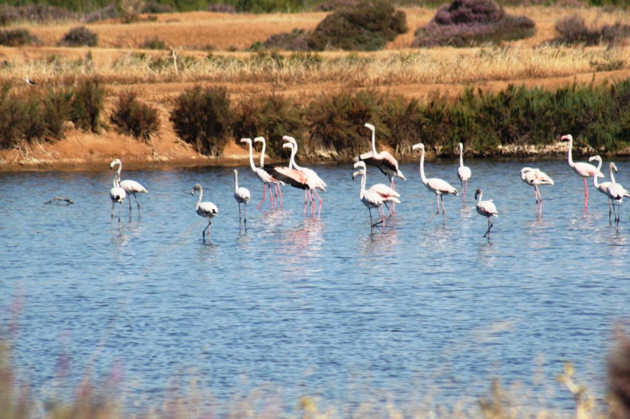 Herdade Dos Salgados Do Fialho Faro Luaran gambar
