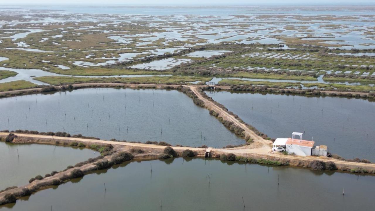 Herdade Dos Salgados Do Fialho Faro Luaran gambar