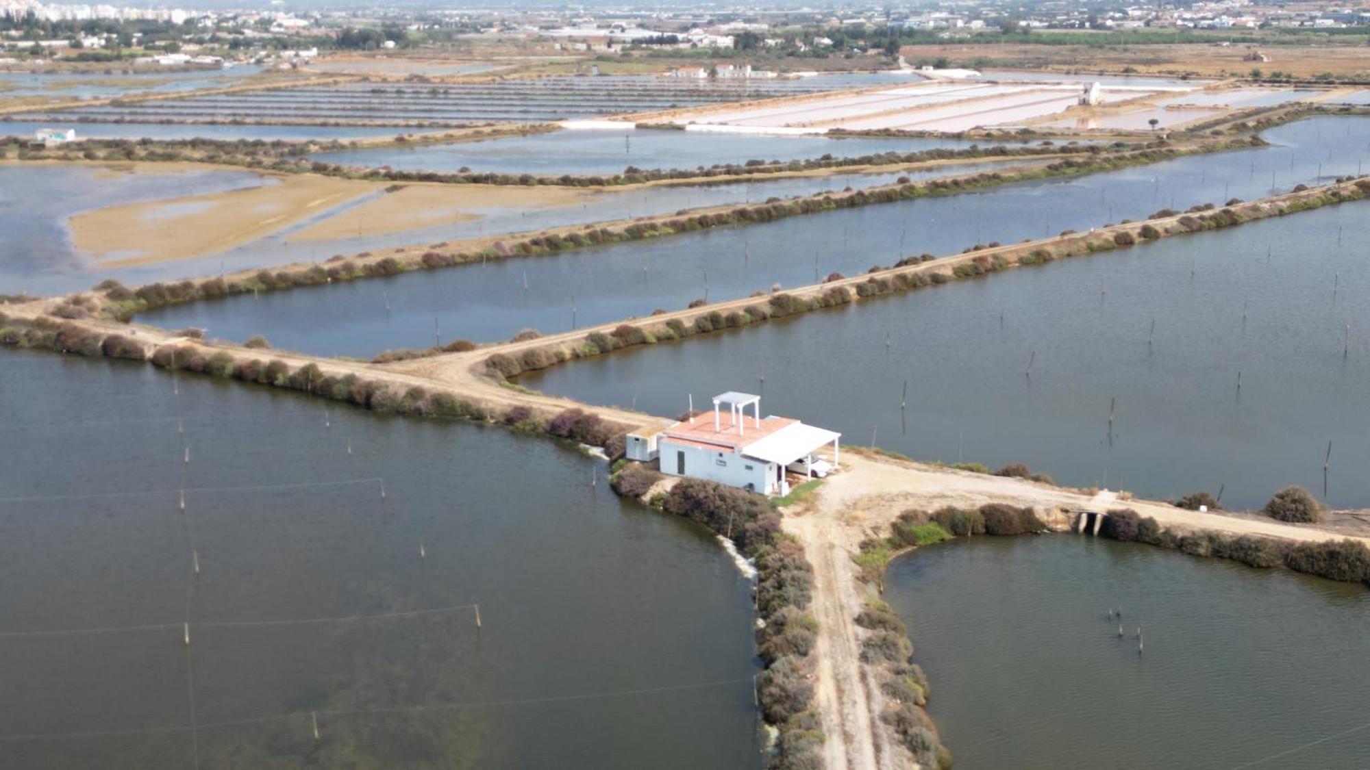Herdade Dos Salgados Do Fialho Faro Luaran gambar