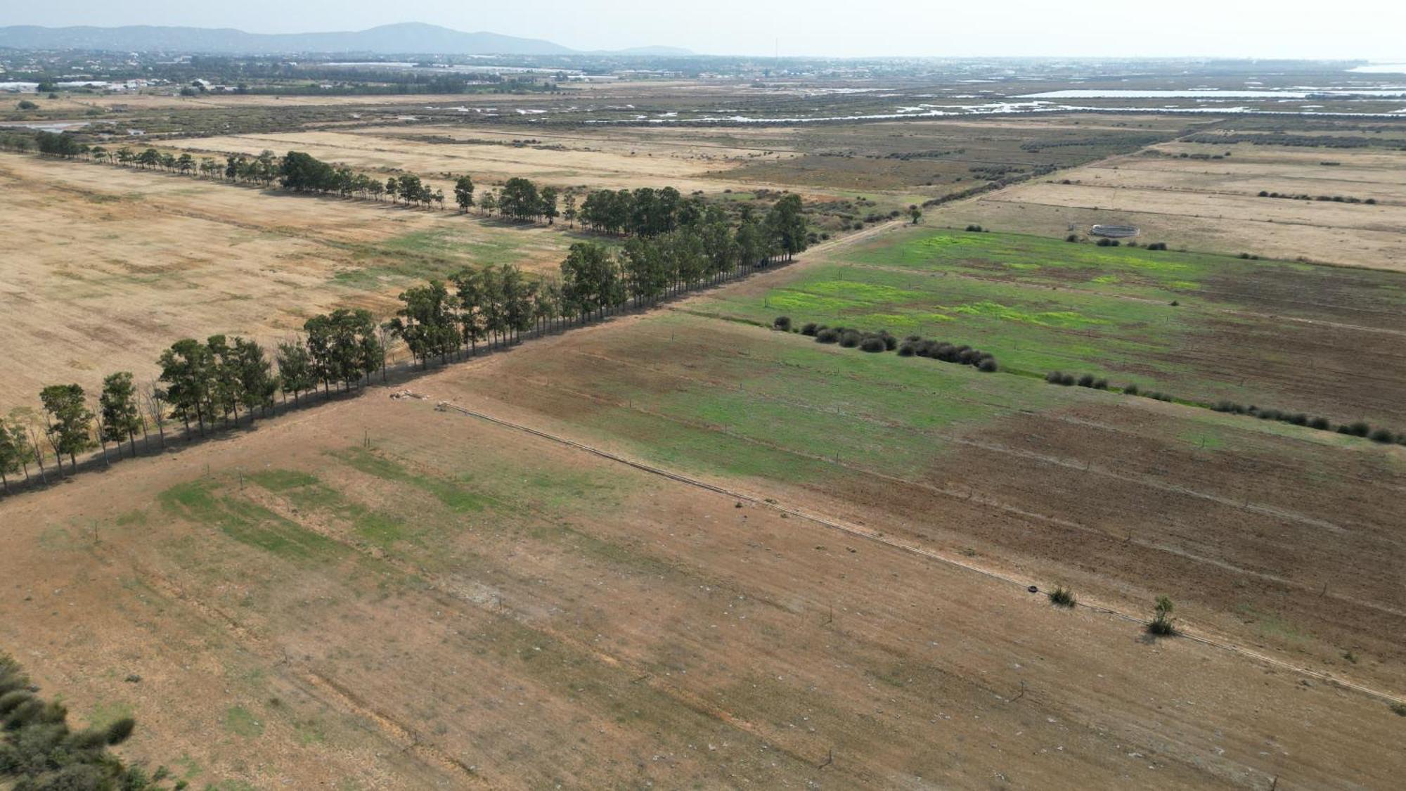 Herdade Dos Salgados Do Fialho Faro Luaran gambar