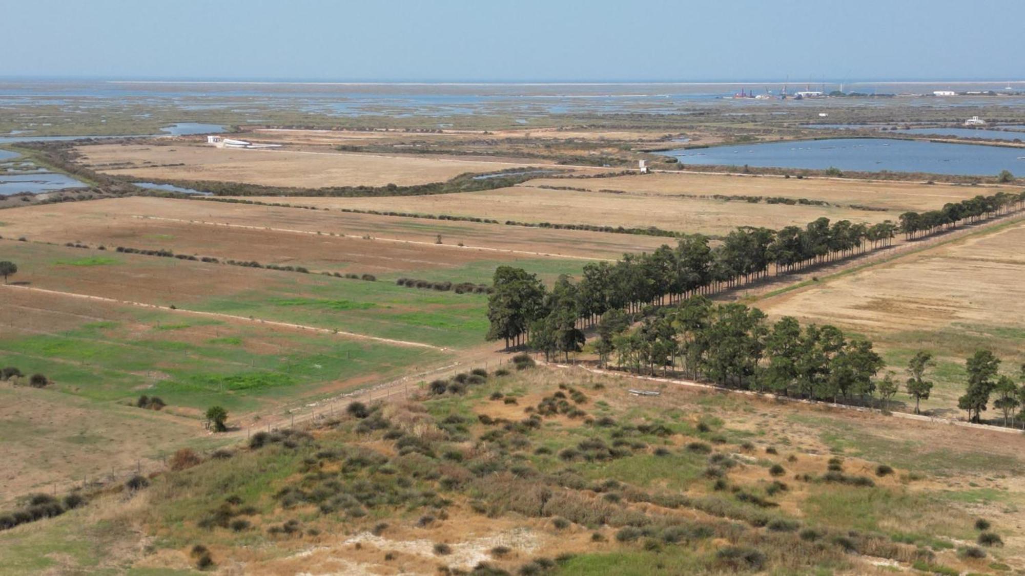 Herdade Dos Salgados Do Fialho Faro Luaran gambar