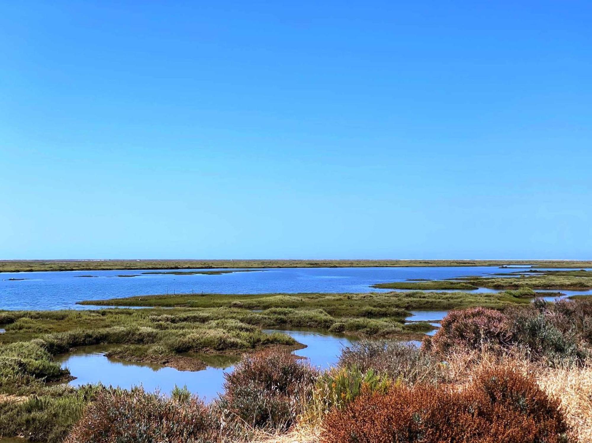 Herdade Dos Salgados Do Fialho Faro Luaran gambar