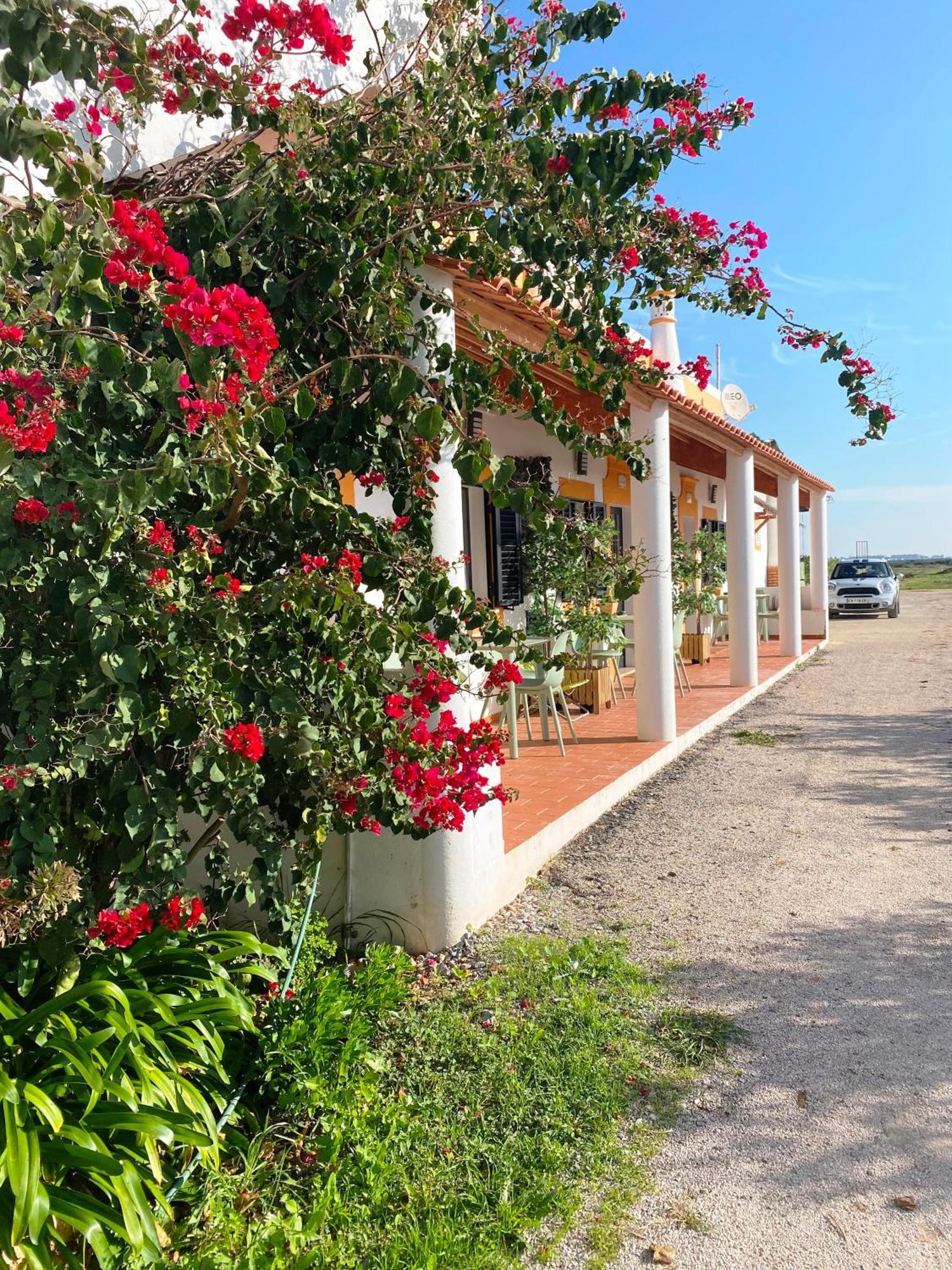 Herdade Dos Salgados Do Fialho Faro Luaran gambar